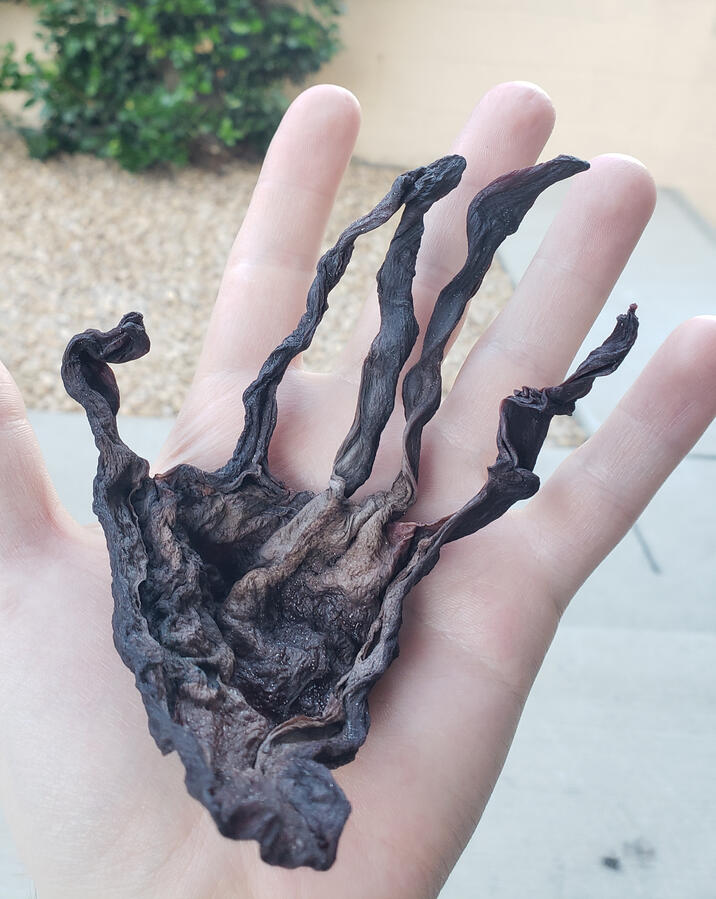 Hand made from dried Kombucha SCOBY