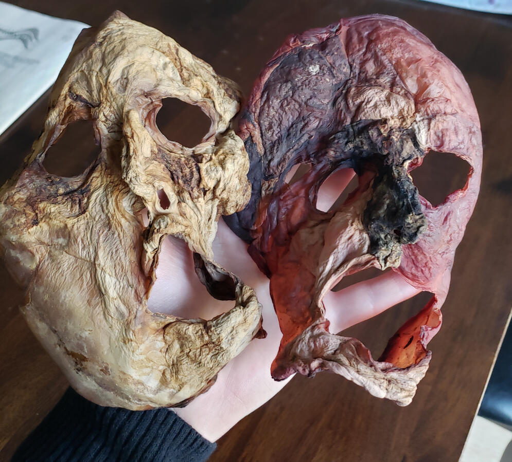 Masks made from dried kombucha SCOBY